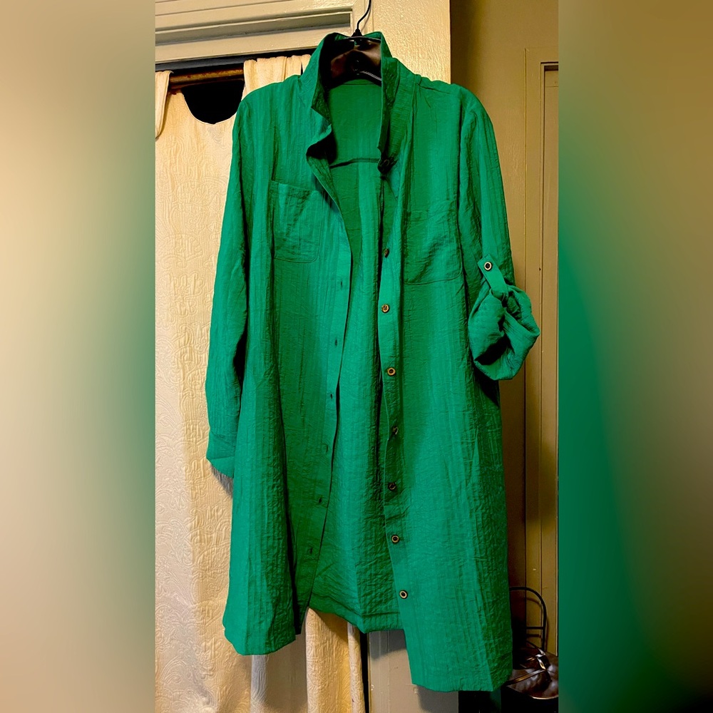 Classic Shirtdress - Kelly Clover Green NEW! Sz L 💚